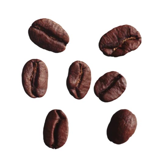 Arabica kohv